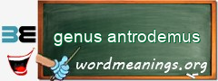 WordMeaning blackboard for genus antrodemus